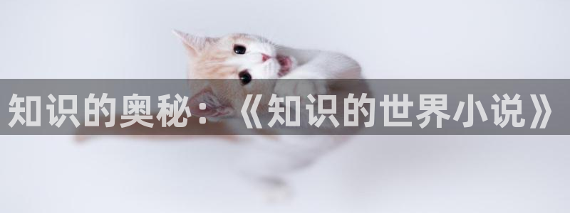 纵横国际：知识的奥秘：《知识的世界小说》