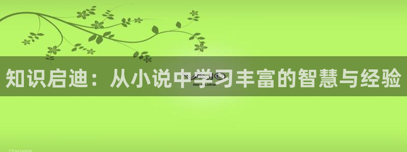 纵横中文网热门小说推荐：知识启迪：从小说中学习丰富的智慧与经验